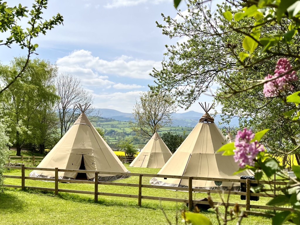 A group of Giant Tipis