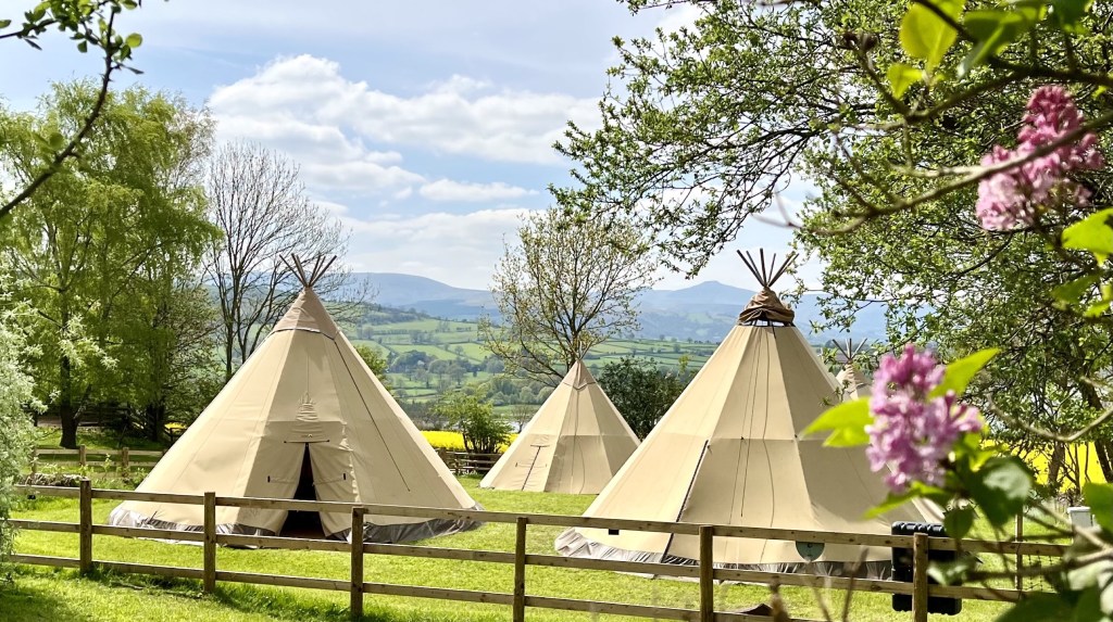 A group of Giant Tipis